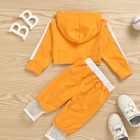 Load image into Gallery viewer, 2 Pieces Set Baby Girls Color-blocking Hoodies Swearshirts And Pants Wholesale 61287501
