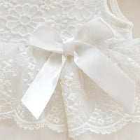 Load image into Gallery viewer, Baby Girls Solid Color Bow Embroidered Dresses Wholesale 319910845
