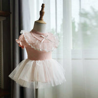 Load image into Gallery viewer, Baby Girls Bow Lace Embroidered Princess Dresses Headwear Wholesale 343010852
