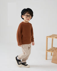Load image into Gallery viewer, Baby Kid Unisex Solid Color Sweaters Wholesale 220819239
