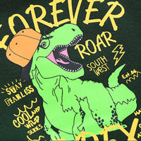 Load image into Gallery viewer, Kid Boys Letters Dinosaur Cartoon Hoodies Swearshirts Wholesale 41108376
