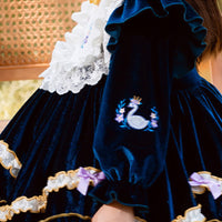 Load image into Gallery viewer, Baby Kid Girls Animals Bow Lace Embroidered Dressy Birthday Party Dresses Princess Dresses Wholesale 452610238
