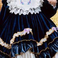 Load image into Gallery viewer, Baby Kid Girls Animals Bow Lace Embroidered Dressy Birthday Party Dresses Princess Dresses Wholesale 452610238
