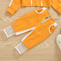 Load image into Gallery viewer, 2 Pieces Set Baby Girls Color-blocking Hoodies Swearshirts And Pants Wholesale 61287501
