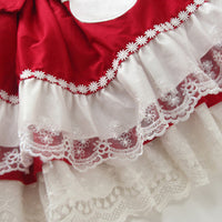 Load image into Gallery viewer, Baby Kid Girls Bow Lace Embroidered Dressy Birthday Party Dresses Princess Dresses Wholesale 694610241
