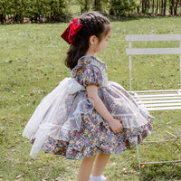 Load image into Gallery viewer, Baby Kid Girls Bow Lace Print Birthday Party Dresses Princess Dresses Wholesale 950610262
