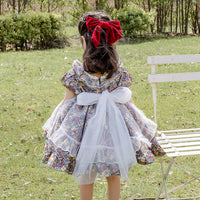 Load image into Gallery viewer, Baby Kid Girls Bow Lace Print Birthday Party Dresses Princess Dresses Wholesale 950610262
