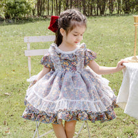 Load image into Gallery viewer, Baby Kid Girls Bow Lace Print Birthday Party Dresses Princess Dresses Wholesale 950610262
