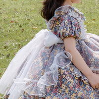 Load image into Gallery viewer, Baby Kid Girls Bow Lace Print Birthday Party Dresses Princess Dresses Wholesale 950610262
