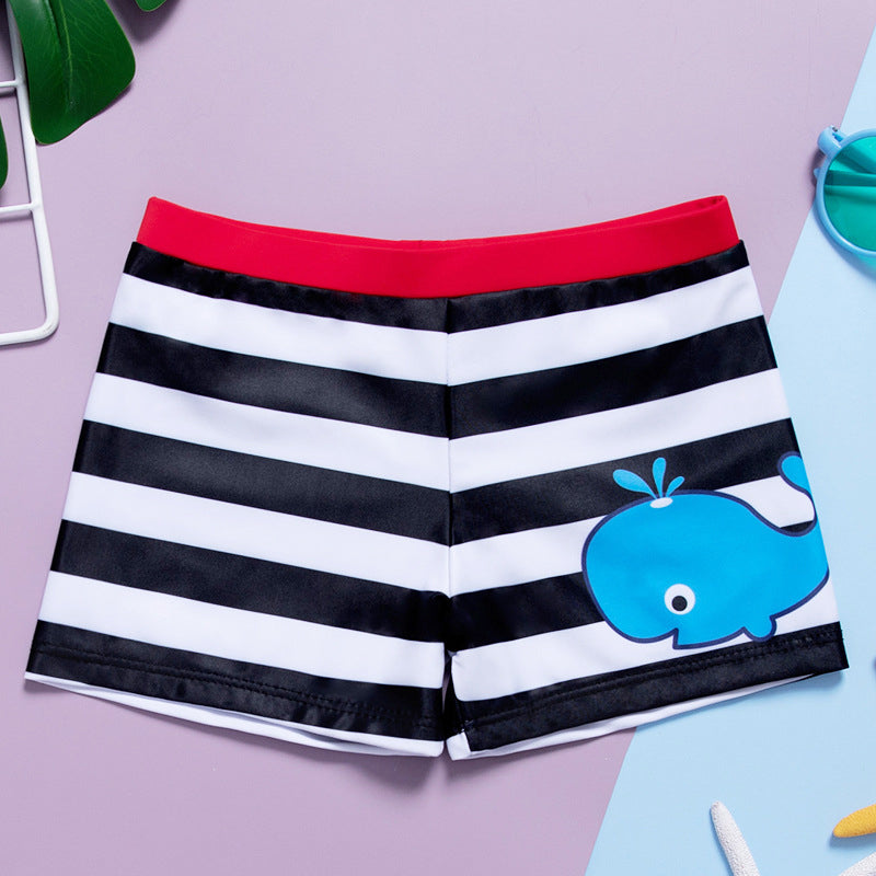 Boy Whale Print Stripe Swimming Trunks Wholesale 94312472