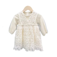 Load image into Gallery viewer, Girls children&#39;s clothing lace skirt autumn western style children&#39;s princess dress Wholesale 14586368
