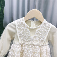 Load image into Gallery viewer, Girls children&#39;s clothing lace skirt autumn western style children&#39;s princess dress Wholesale 14586368
