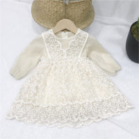 Load image into Gallery viewer, Girls children&#39;s clothing lace skirt autumn western style children&#39;s princess dress Wholesale 14586368
