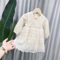 Load image into Gallery viewer, Girls children&#39;s clothing lace skirt autumn western style children&#39;s princess dress Wholesale 14586368
