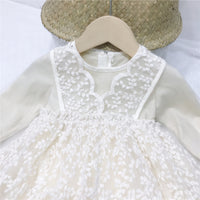 Load image into Gallery viewer, Girls children&#39;s clothing lace skirt autumn western style children&#39;s princess dress Wholesale 14586368

