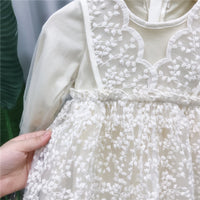 Load image into Gallery viewer, Girls children&#39;s clothing lace skirt autumn western style children&#39;s princess dress Wholesale 14586368
