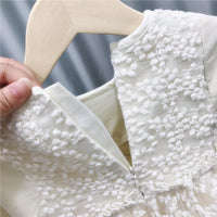 Load image into Gallery viewer, Girls children&#39;s clothing lace skirt autumn western style children&#39;s princess dress Wholesale 14586368
