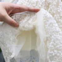 Load image into Gallery viewer, Girls children&#39;s clothing lace skirt autumn western style children&#39;s princess dress Wholesale 14586368
