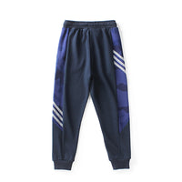 Load image into Gallery viewer, Kid Boys Striped Letters Camo Pants Wholesale 15846205
