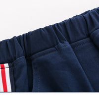 Load image into Gallery viewer, Kid Boy Striped Pants Wholesale 31773366
