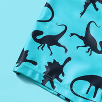 Load image into Gallery viewer, Kid Boy Swimsuit I Just Want to Rawrr Like a Dinosaur Top With Shorts Set Wholesale 04352460
