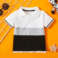 Load image into Gallery viewer, Kid Boy Color Blocking Polo Shirt Wholesale 6598704
