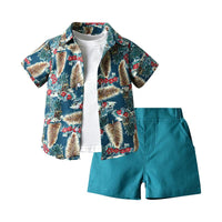 Load image into Gallery viewer, 3-Piece Toddler Boy Plant Pattern Set Solid Color Tee &amp; Leaves Shirt &amp; Shorts Wholesale 4075246
