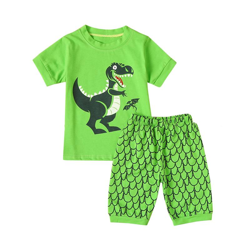 2-Piece Little Boy Pajamas Set Dinosaur Pattern Top Matching Shorts Wholesale 6893969