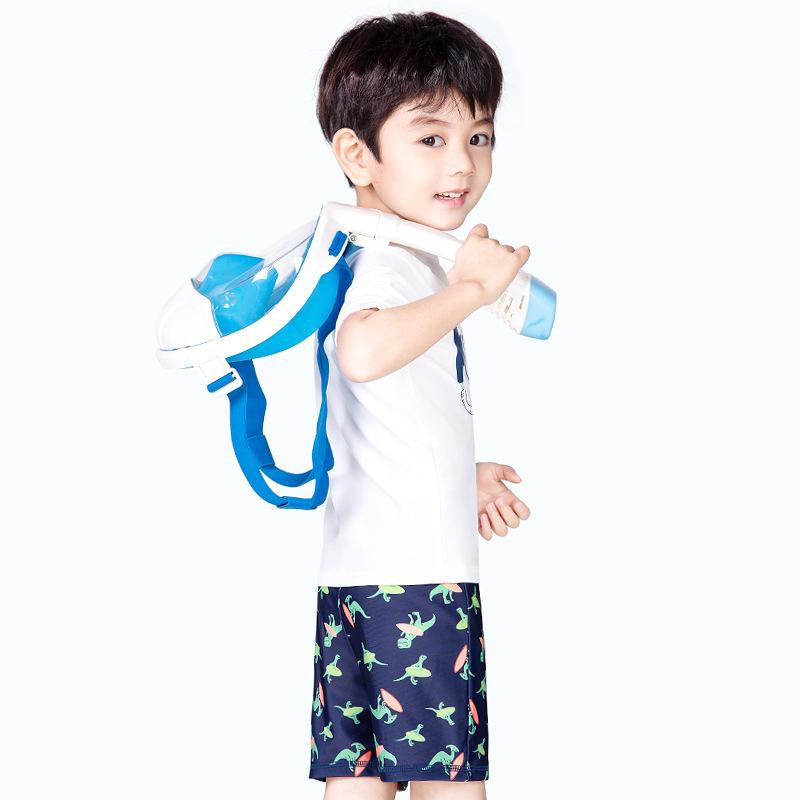 Three Pieces Kid Boy Swimwear Set Print T-shirt And Dinosaur Shorts And Hat  Wholesale 8703609