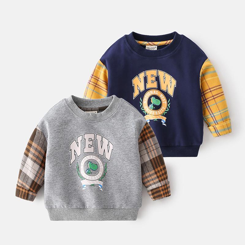 Kid Boy Letter Dinosaur Check Sweatshirt Wholesale 2888662