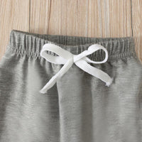 Load image into Gallery viewer, 2 Pieces Set Baby Solid Color Hooded Bodysuit And Pants Wholesale 9091021
