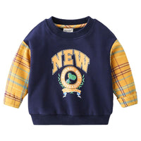 Load image into Gallery viewer, Kid Boy Letter Dinosaur Check Sweatshirt Wholesale 2888662

