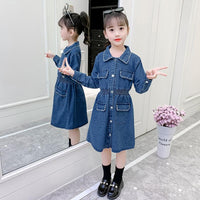 Load image into Gallery viewer, Kid Girl Turn Down Collar Beaded Decor Denim Dress Wholesale 1583485
