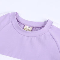 Load image into Gallery viewer, 2 Pieces Kid Colorblock Set Raglan Sleeve Tee With Shorts Wholesale 5482068
