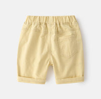 Load image into Gallery viewer, Dinosaur Casual Shorts For Kid Boy Wholesale 7799654
