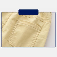 Load image into Gallery viewer, Dinosaur Casual Shorts For Kid Boy Wholesale 7799654
