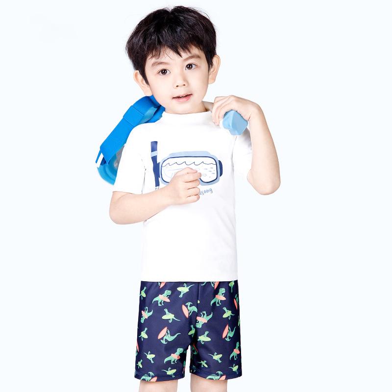 Three Pieces Kid Boy Swimwear Set Print T-shirt And Dinosaur Shorts And Hat  Wholesale 8703609