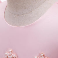 Load image into Gallery viewer, Kid Girl Puff Sleeve Princess Party Birthday Pink Maxi Dress Wholesale 38663613
