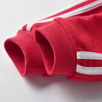 Load image into Gallery viewer, 2 Pieces Kid Unisex Tracksuit Side Stripe Hooded Jacket And Sweatpants Wholesale 6976147
