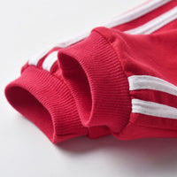 Load image into Gallery viewer, 2 Pieces Kid Unisex Tracksuit Side Stripe Hooded Jacket And Sweatpants Wholesale 6976147

