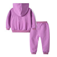 Load image into Gallery viewer, 2 Pieces Kid Unisex Tracksuit Side Stripe Hooded Jacket And Sweatpants Wholesale 6976147
