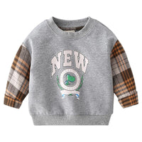 Load image into Gallery viewer, Kid Boy Letter Dinosaur Check Sweatshirt Wholesale 2888662
