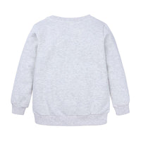 Load image into Gallery viewer, Baby Kid Boys Letters Animals Cartoon Print Hoodies Swearshirts Wholesale 574511886
